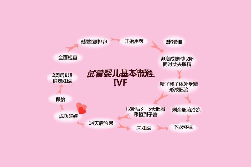 第一代试管婴儿(IVF)流程_成功率_费用_适用人群介绍