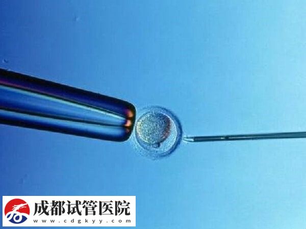 试管移植hrt方案成功率高不高(图1)