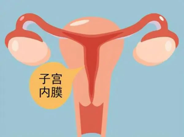 怀孕怎么判断男女？怀男女宝宝会有什么不同症状呢？(图1)