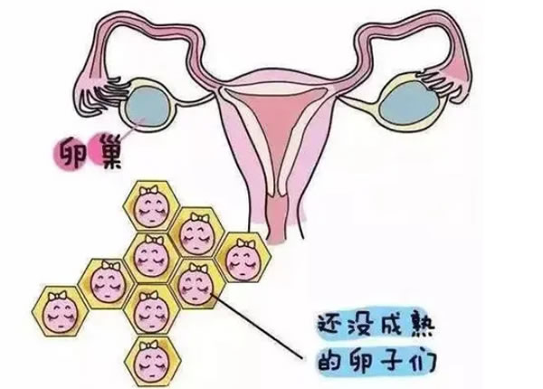 怀女宝的症状有哪些？怎样知道怀的是女宝？(图1)