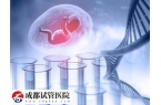 闭经做供卵试管婴儿能不能成功