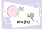 卵巢冠囊肿啥意思卵巢冠囊肿是什么意思 严